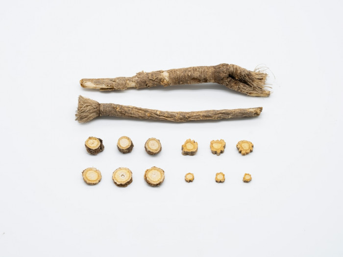 Cambridge Academy İngilizce Kursu