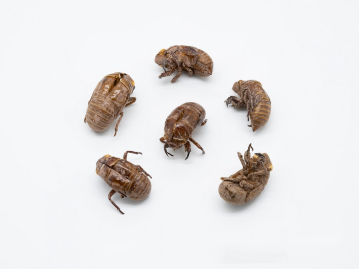 Türkçe Excel Belgelerini İngilizceye Çevirme Rehberi