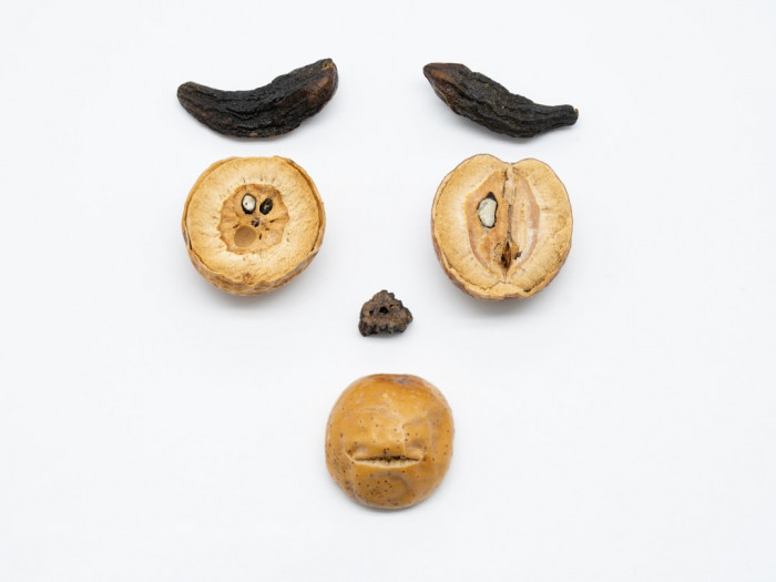 İngilizcede "Years Ago" Kullanımı